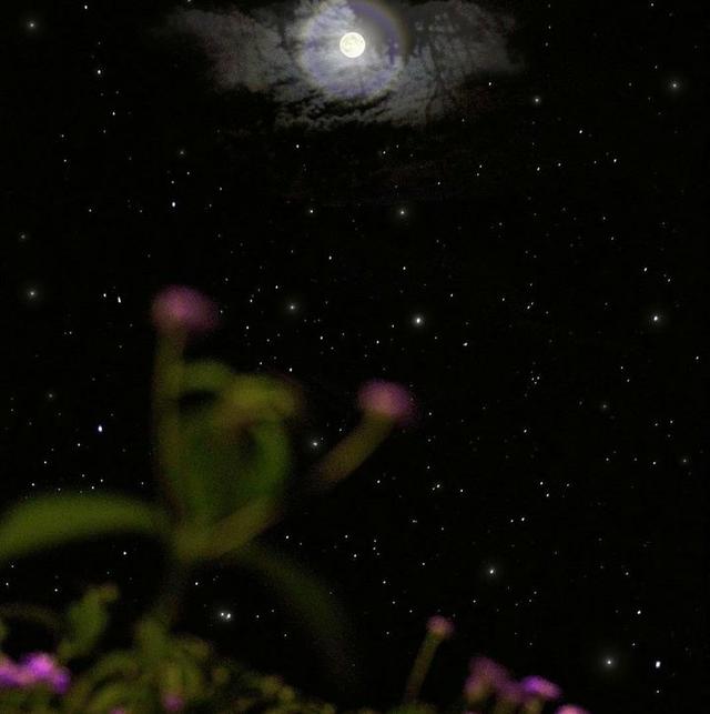 美好阳光且干净的女生头像  星空迷上了山野微信，美好阳光且干净的女生头像  星空迷上了山野，有雾有灯也有归人。（有哪些好看非人物的头像）