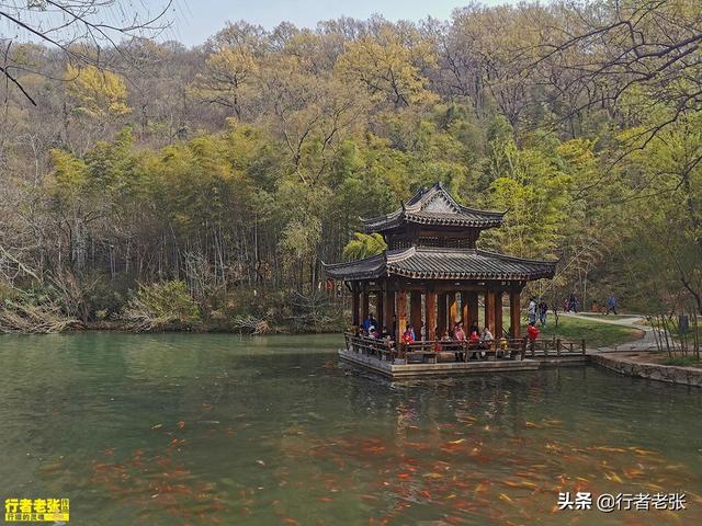 醉翁亭在哪里在哪个省，醉翁亭在哪里个城市（苏东坡题写《醉翁亭记》）