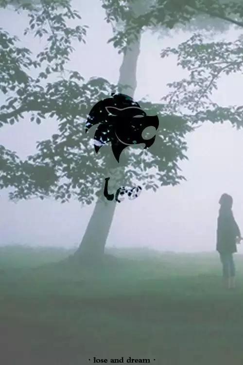 allen英文名什么意思，Allen英文名什么意思（你适合什么样的英文名）