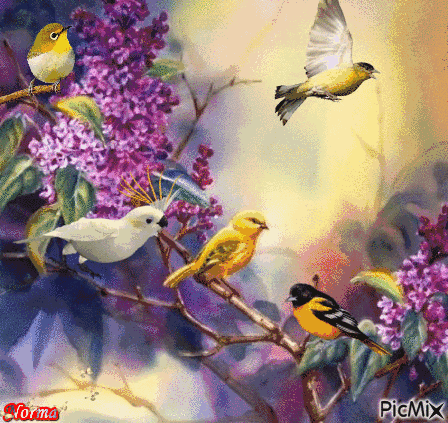 精选的经典顺口溜大全，各种顺口溜大全（2019人生顺口溜）