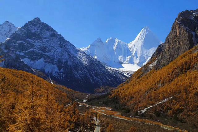 稻城海拔是多少，稻城海拔多少米会有高原反应吗有老虎吗（为什么有些游客说不去后悔一生）