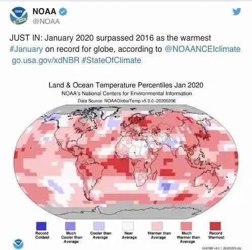 地球的体温指什么，人体体温是指什么的温度（也有自己的“体温”）