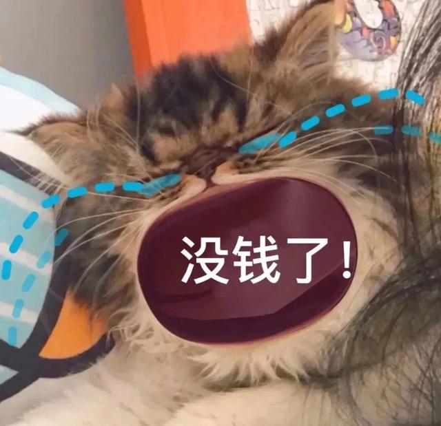 泪奔与泪崩的区别，表情包：泪崩了