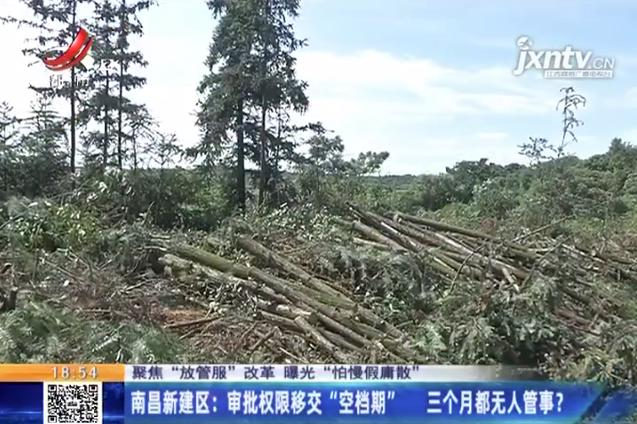 养鸡场投资多少钱，养1000只鸡需投资多少（男子投资200万元的养鸡场）