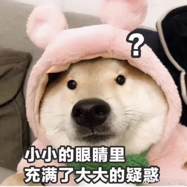 sus304什么意思，sus304不锈钢是什么意思（304不锈钢真的好吗）