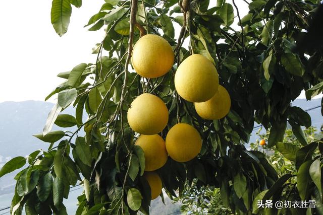 初冬是几月，初冬是几月在古代怎么形容（诗词里初冬美丽的别称）