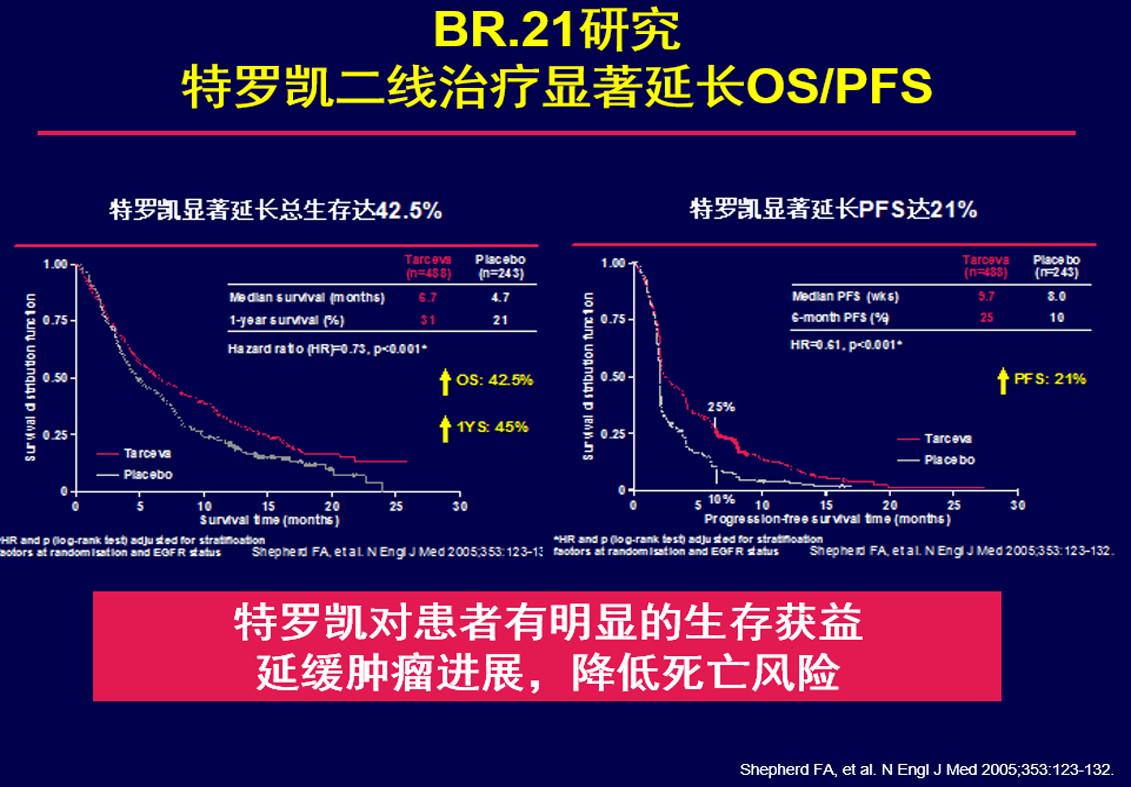 非小细胞肺癌、胰腺癌---厄洛替尼（ERLOTINIB）