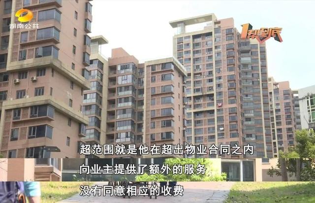 物业主要管理什么，物业管理主要负责什么（帮女郎开课了：物业到底管些啥）