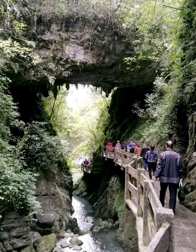 第一天从重庆到武隆汽车站,然后到武隆仙女山镇游客中心--》仙女山
