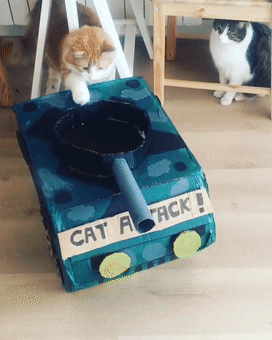 如何用最简单的材料给猫咪做玩具，如何用最简单的材料给猫咪做玩具熊（网友给家里的猫打造纸箱坦克）