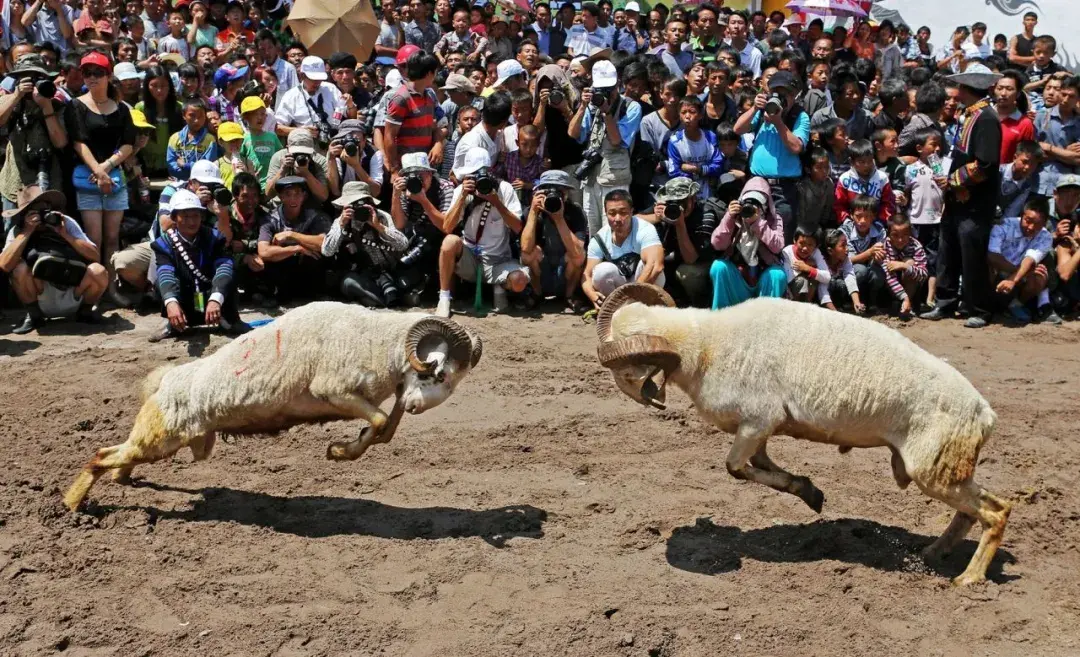 彝族风俗节庆，彝族的传统节日和风俗（薪火相传——彝族火把节）