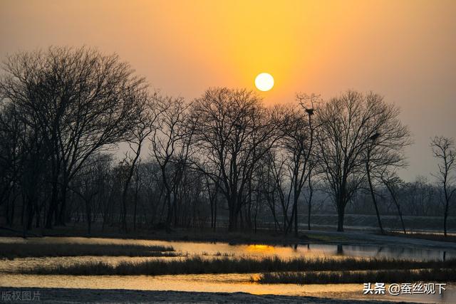 盐城是哪个省的城市，江苏盐城市