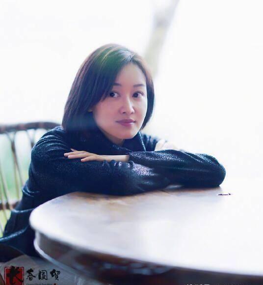 董卿是小三吗，董卿是第三者（“奉子成婚”坐拥豪宅）