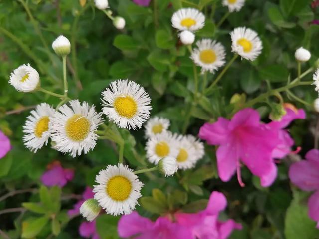 存在即合理下半句，存在即合理下半句 奇葩说（因为我思维不严谨）