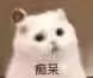 苹果6splus截屏快捷键，苹果6splus怎么截屏（全网最全iOS）