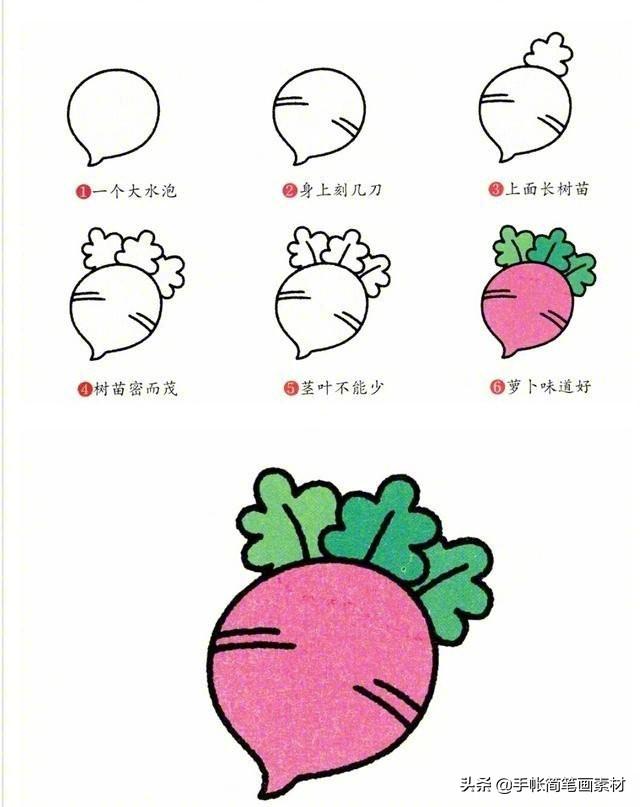 各种蔬菜简笔画，蔬菜简笔画（9种经常吃的蔬菜，简单又好画）
