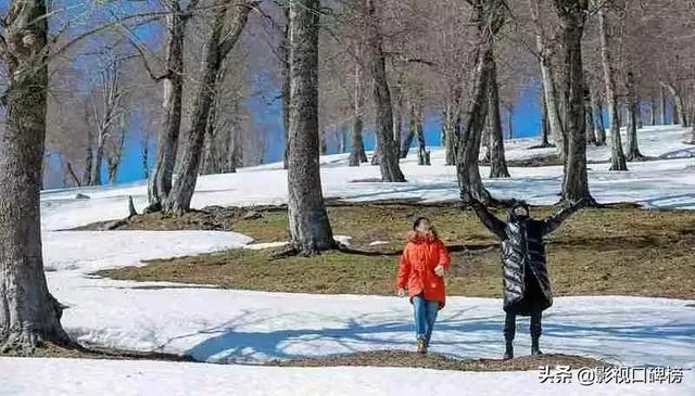 不惑之年电视剧在线观看梅婷，陈建斌梅婷演的什么电视剧（《不惑之旅》褒贬不一）