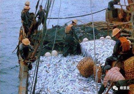 世界上有哪些渔场，世界上有几个渔场（天下“渔仓”——走进世界四大渔场）