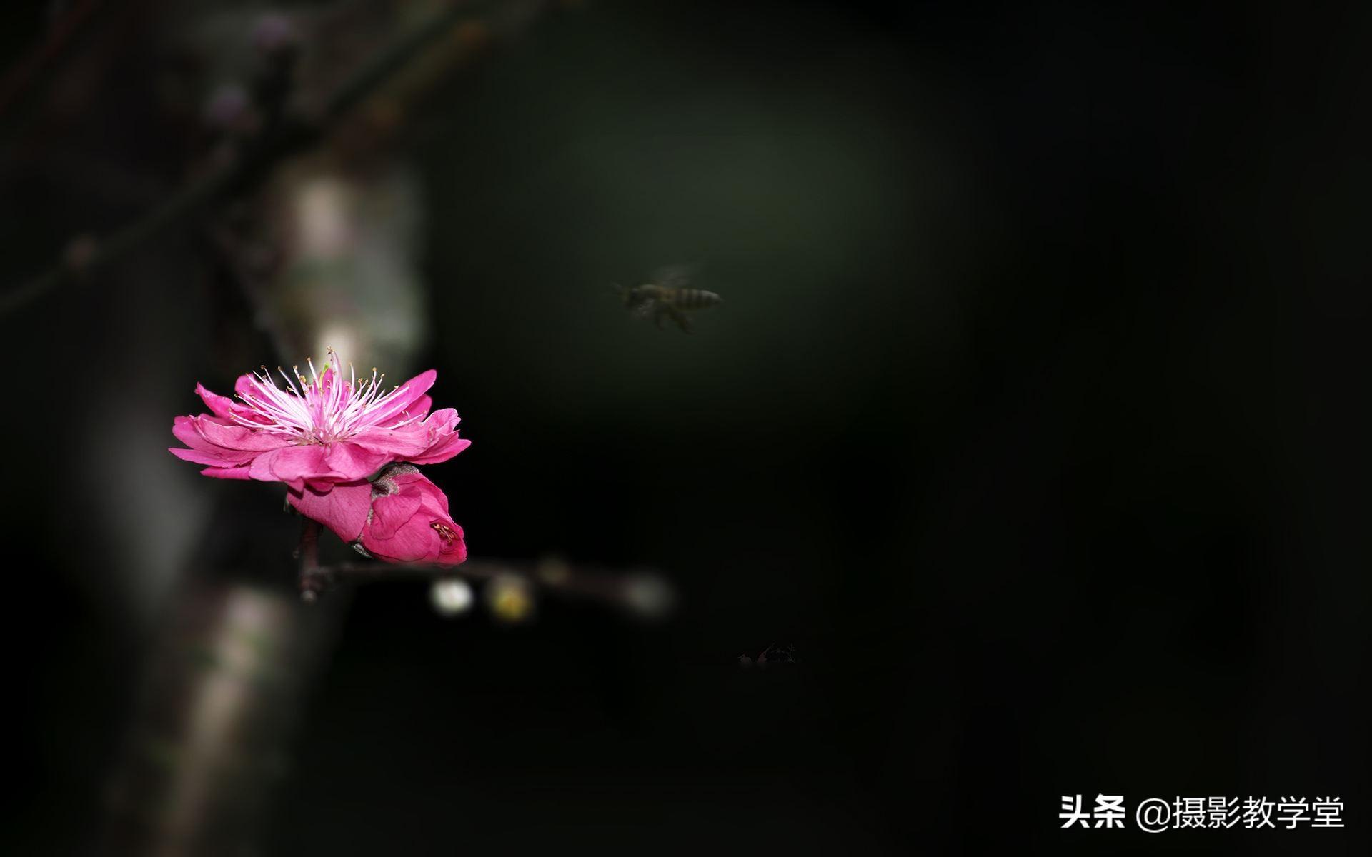 曝光是什么意思(曝光越高越好还是越低)