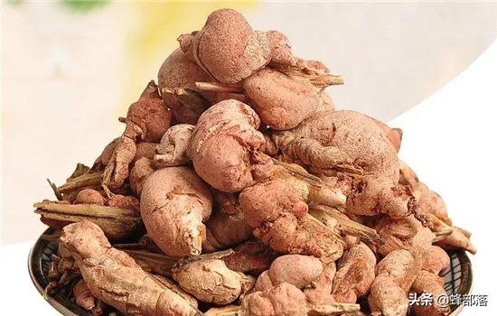 竹黄的功效与作用，竹黄泡水喝有什么功效（不认识的把它当“病虫害”处理）