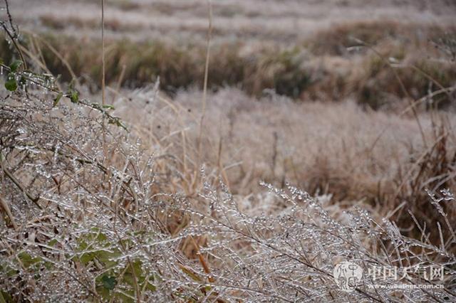 数九寒冬的数是什么意思，数九严寒数的意思（大数据告诉你数九都有啥讲究）