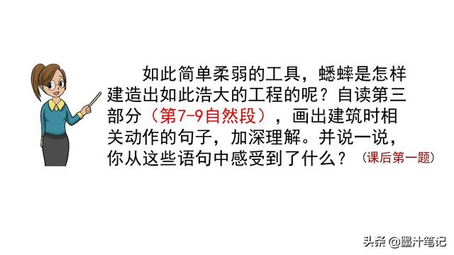 蟋蟀的住宅指的是什么，蟋蟀的住宅 是指什么（第三单元《蟋蟀的住宅》课文讲析）