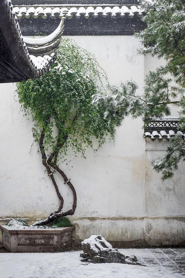 狮子林，“身世”最复杂的苏州园林