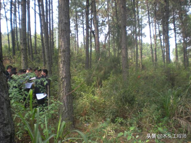 木材算方对照表，圆木头方量计算方法（如何快速测算蓄积量）