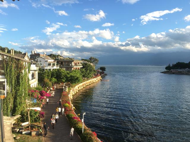 水性杨花菜的营养价值，云南菜水性杨花营养价值（但有可以吃的海菜花）