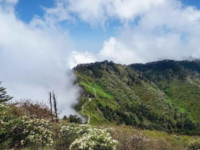 西岭雪山官网订门票，西岭雪山官网直播（含景区门票+交索往返）