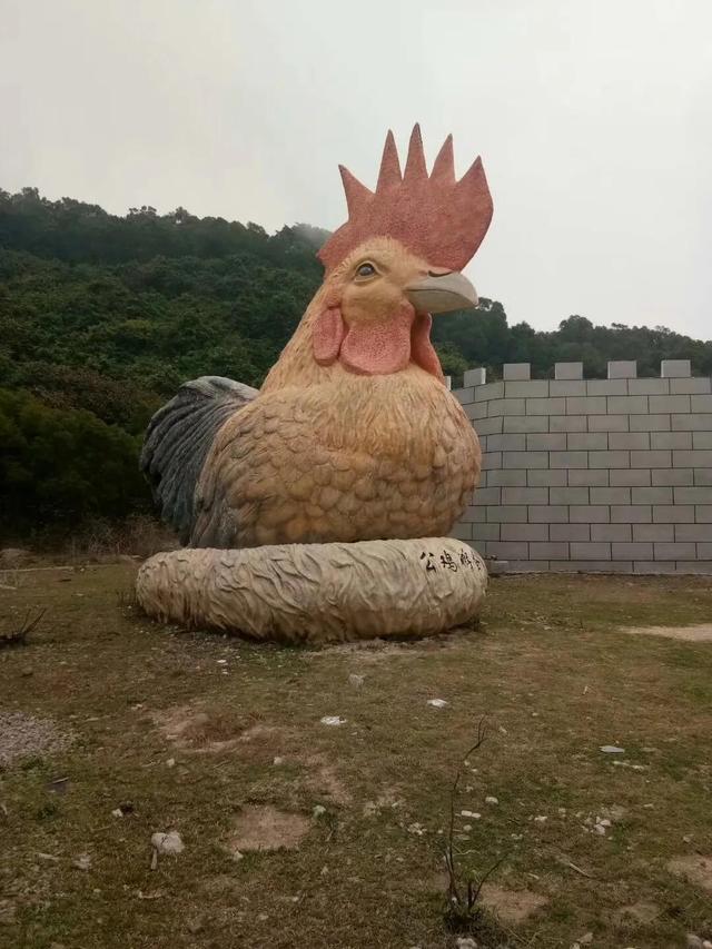 茂名放鸡岛有什么好玩的，茂名除了放鸡岛还有什么岛（茂名有个神秘的海岛——放鸡岛）