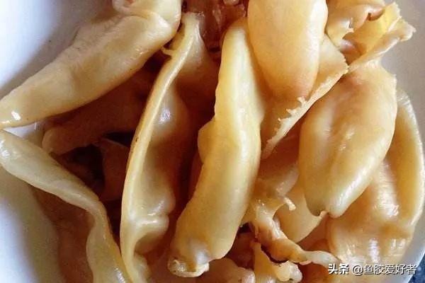 鱼胶和花胶哪个更好，花胶好还是鱼胶好些（花胶跟鱼胶有区别吗）