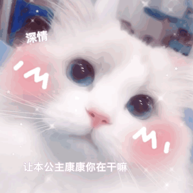 ​抖音上小狗舔屏壁纸设置攻略小狗舔屏动态壁纸，小狗壁纸ins可爱（搞笑GIF图：萌宠）