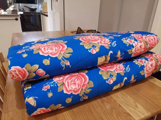 驼毛被子的优缺点，驼绒好还是羽绒被好_驼绒和羽绒被哪个好（五种常见材质被芯全方位对比）