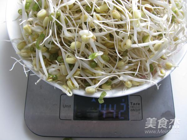 怎么生绿豆芽最快窍门，特殊时期不能出去买菜