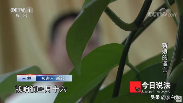 30岁不结婚该判刑，30岁不结婚该判刑 动态（两名奇葩“骗婚女”落网）