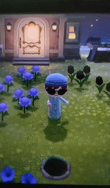 树枝666是什么梗，小黑子树枝666是什么梗（是一场B站网友的群体狂欢）