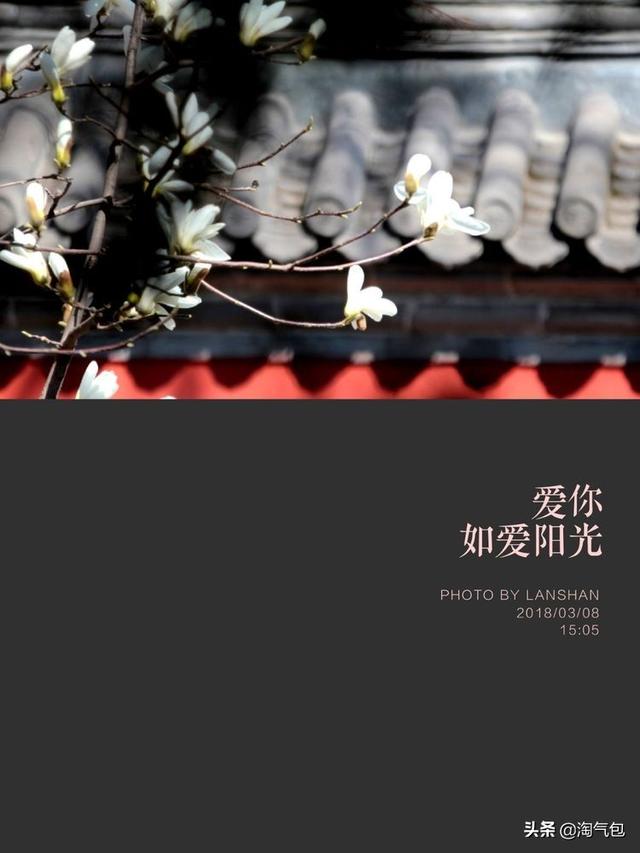 12个月都有什么情人节，二月没过情人节的今天补上