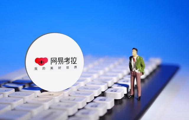 国内代购网站(国外代购网站哪个好)