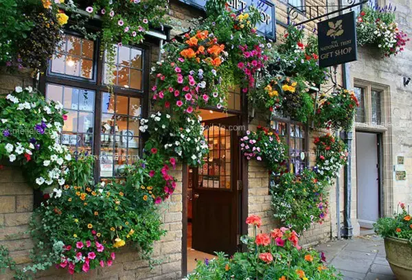 鲜花店怎么开(工艺鲜花店怎么开)
