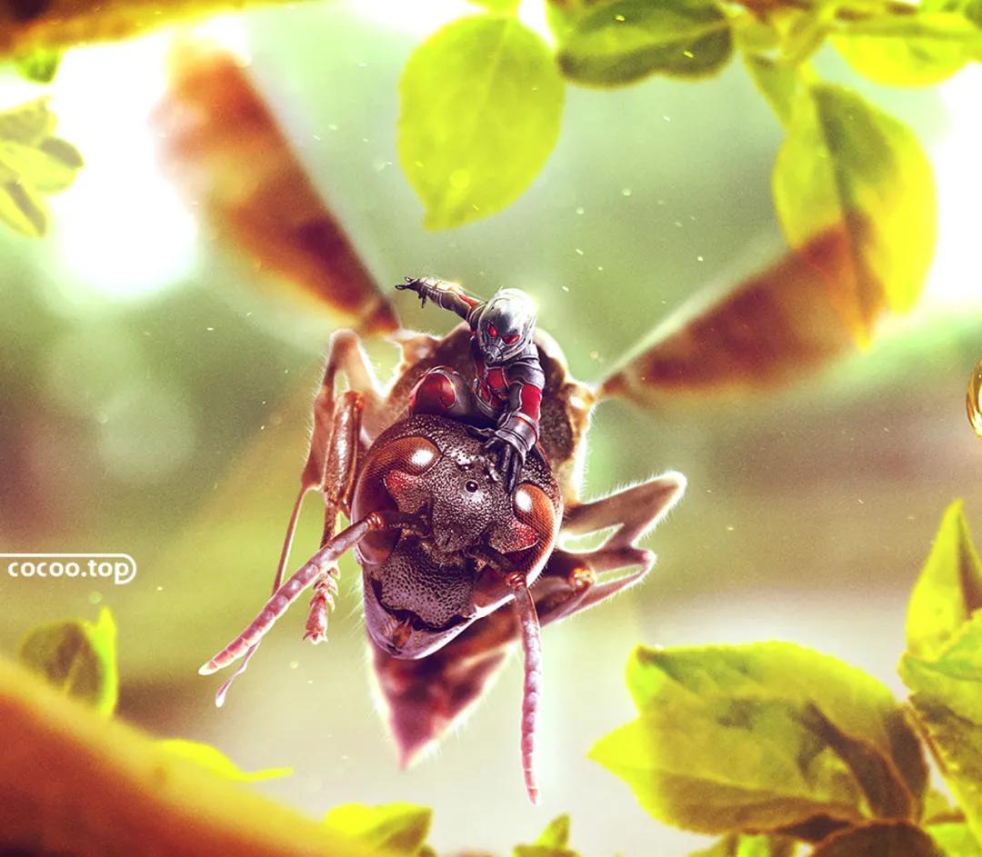 绢布是什么材料,绢丝是真丝里最差的吗(设计印刷的基本方式) 绢布是什么材料,绢丝是真丝里最差的吗(设计印刷的基本方式)