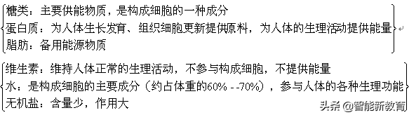 反射弧包括哪五个部分，反射弧的五个组成部分（七年级下册生物期末考试复习提纲）