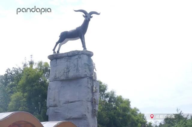 动物园都有什么，北京动物园都有什么（你只看到它们辛勤的玩耍）