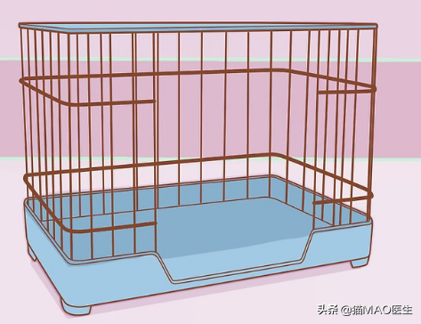 小白兔用什么辨别气味，小白兔的气味是什么味道（邻居小妹抓了一只兔子不知道怎么养）