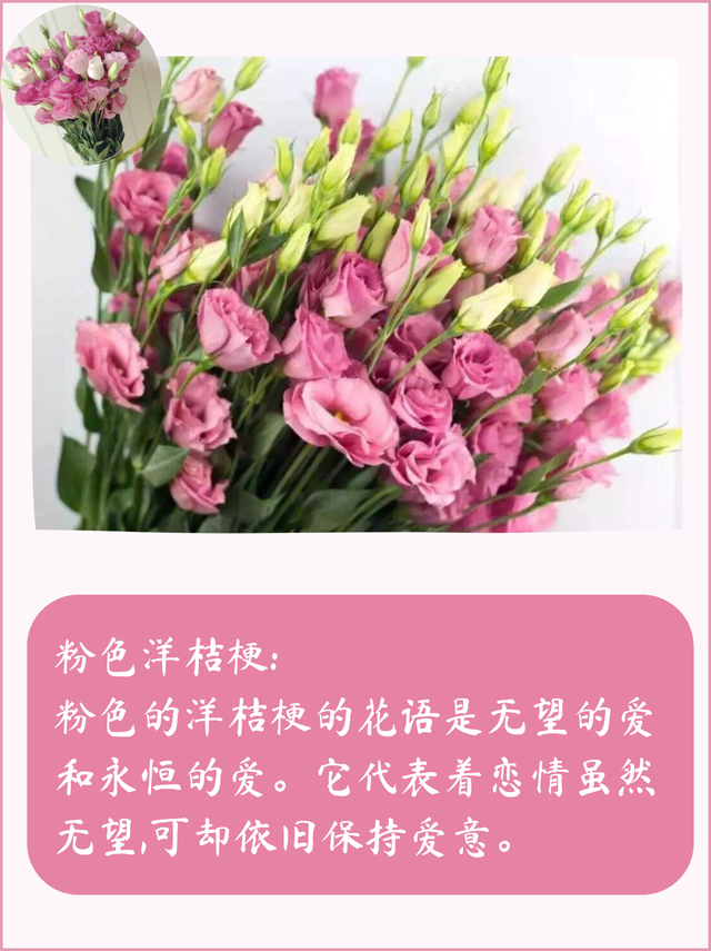 洋桔梗花语是什么，洋桔梗花语是什么意思（不同颜色的洋桔梗鲜花花语及寓意）