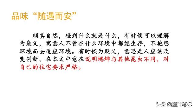 蟋蟀的住宅指的是什么，蟋蟀的住宅 是指什么（第三单元《蟋蟀的住宅》课文讲析）