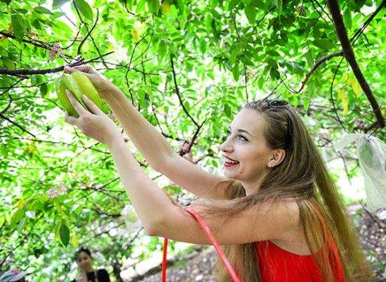 楊桃怎么吃才是最好？怎么吃最有營養呢？-起舞食譜網