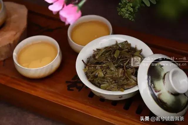 白莺山黑条子是什么类茶，白莺红是什么茶（普洱茶的收藏与价值之名山茶临沧茶区—白莺山）
