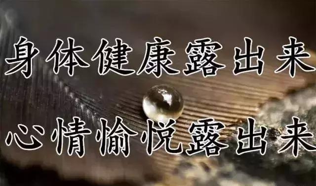 关于寒露的祝福短信，寒露祝福短语（最美的祝福送上）