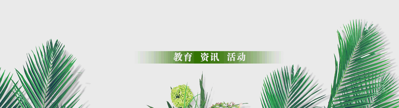 南京外国语学校河西分校（细数南外家族）
